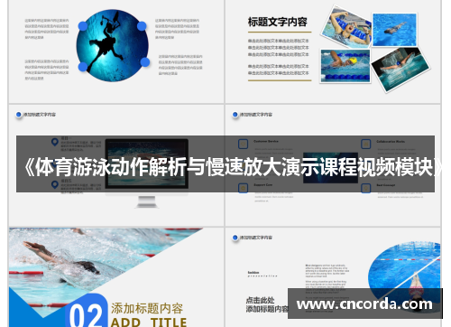 《体育游泳动作解析与慢速放大演示课程视频模块》